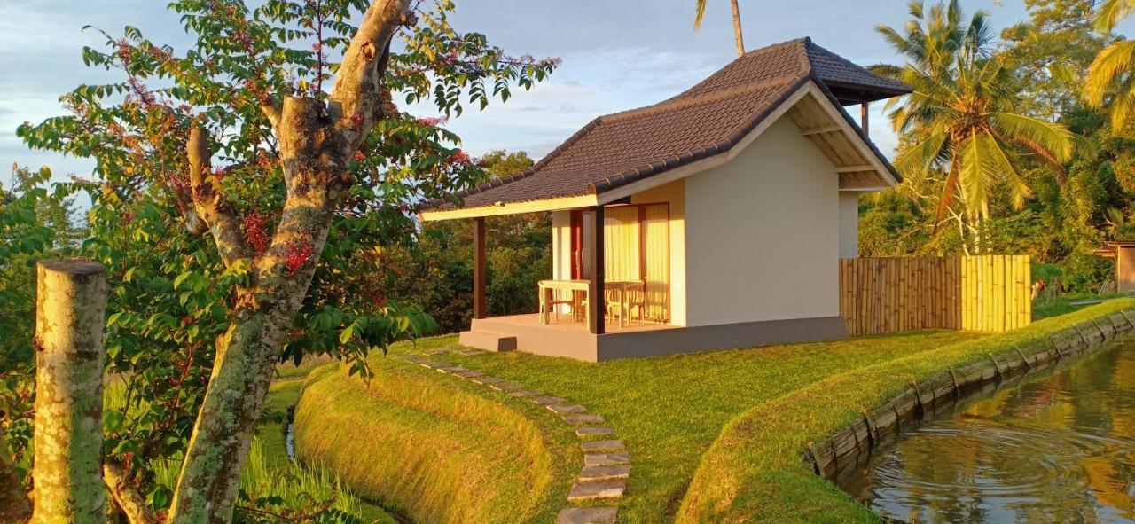 Kubu D'Ume Homestay Jatiluwih Exterior photo