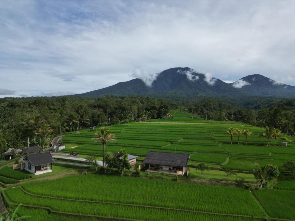 Kubu D'Ume Homestay Jatiluwih Exterior photo